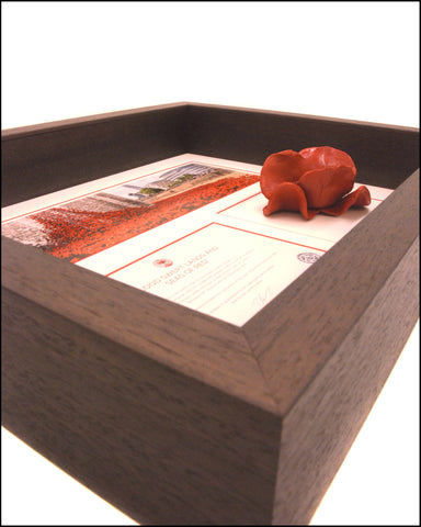 Tower of London Poppy framed in brown