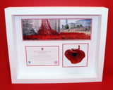 Ceramic poppy display frame in white woos