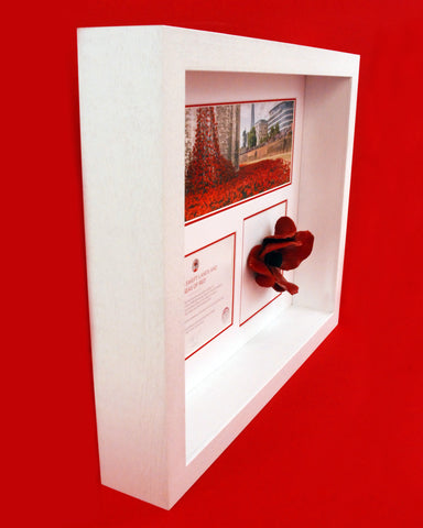 Tower of London poppy display frame in white