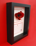 Ceramic London Poppy in a black frame