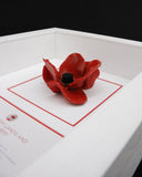 London poppy display frame in white