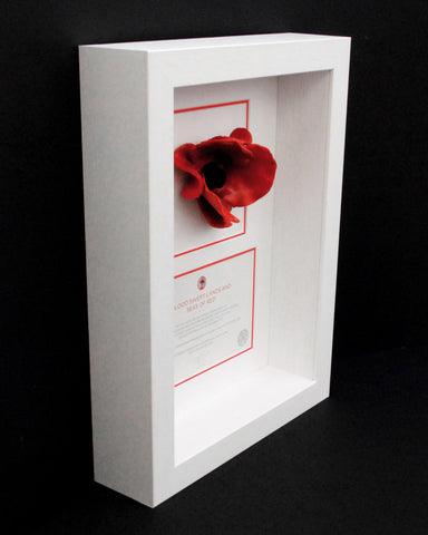 London Poppy Frame in White