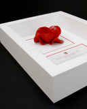 London poppy display frame in white
