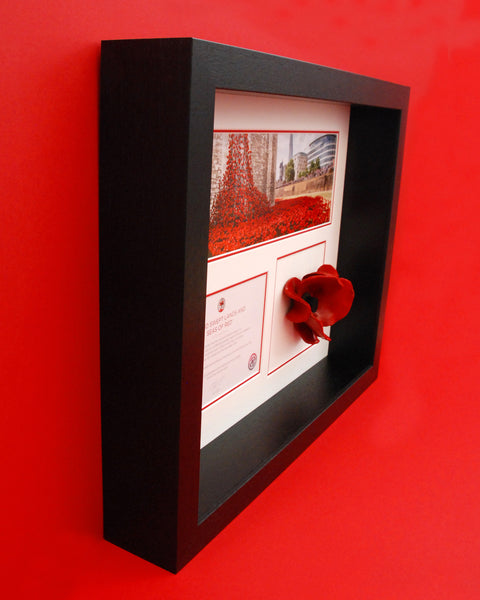 Tower of London Poppy Display frame in Black | Remembrance Poppy Frame ...