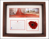 Tower of London Poppy Frame in Brown