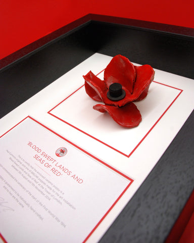 Tower of London Poppy in a black frame